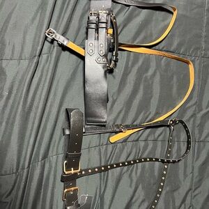 Harnesses